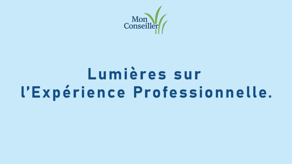 Lumières sur l’Expérience Professionnelle.