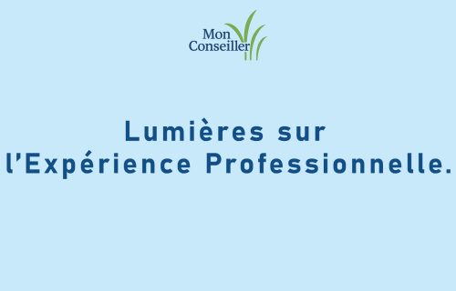 Lumières sur l’Expérience Professionnelle.