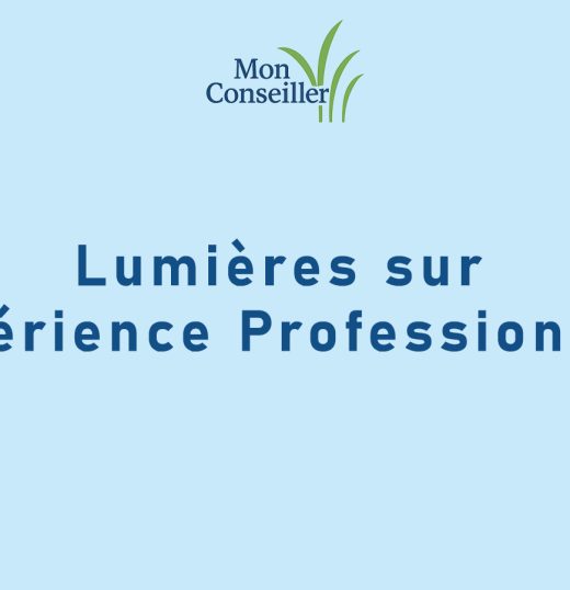 Lumières sur l’Expérience Professionnelle.